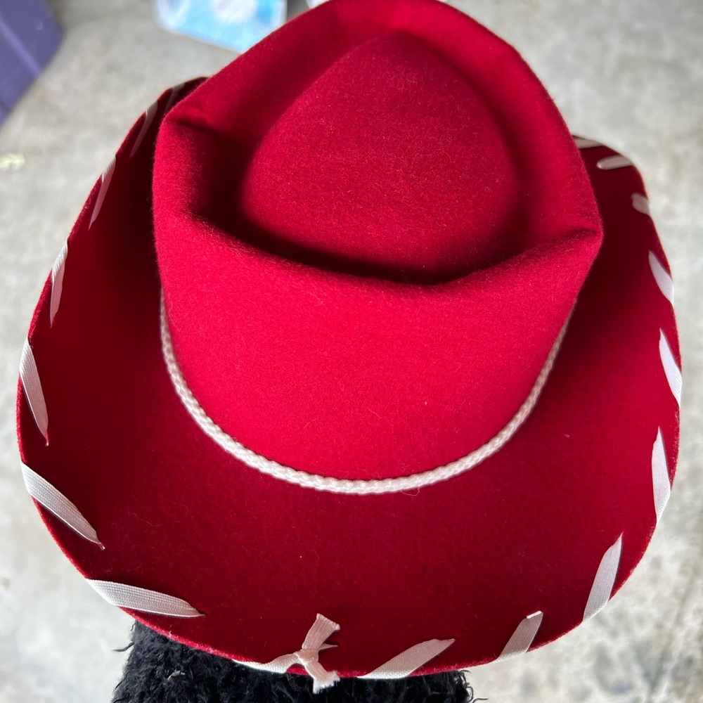 Jessie Toy Story Hat must be purchased in a $25 bundle